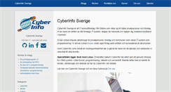 Desktop Screenshot of cyberinfo.se